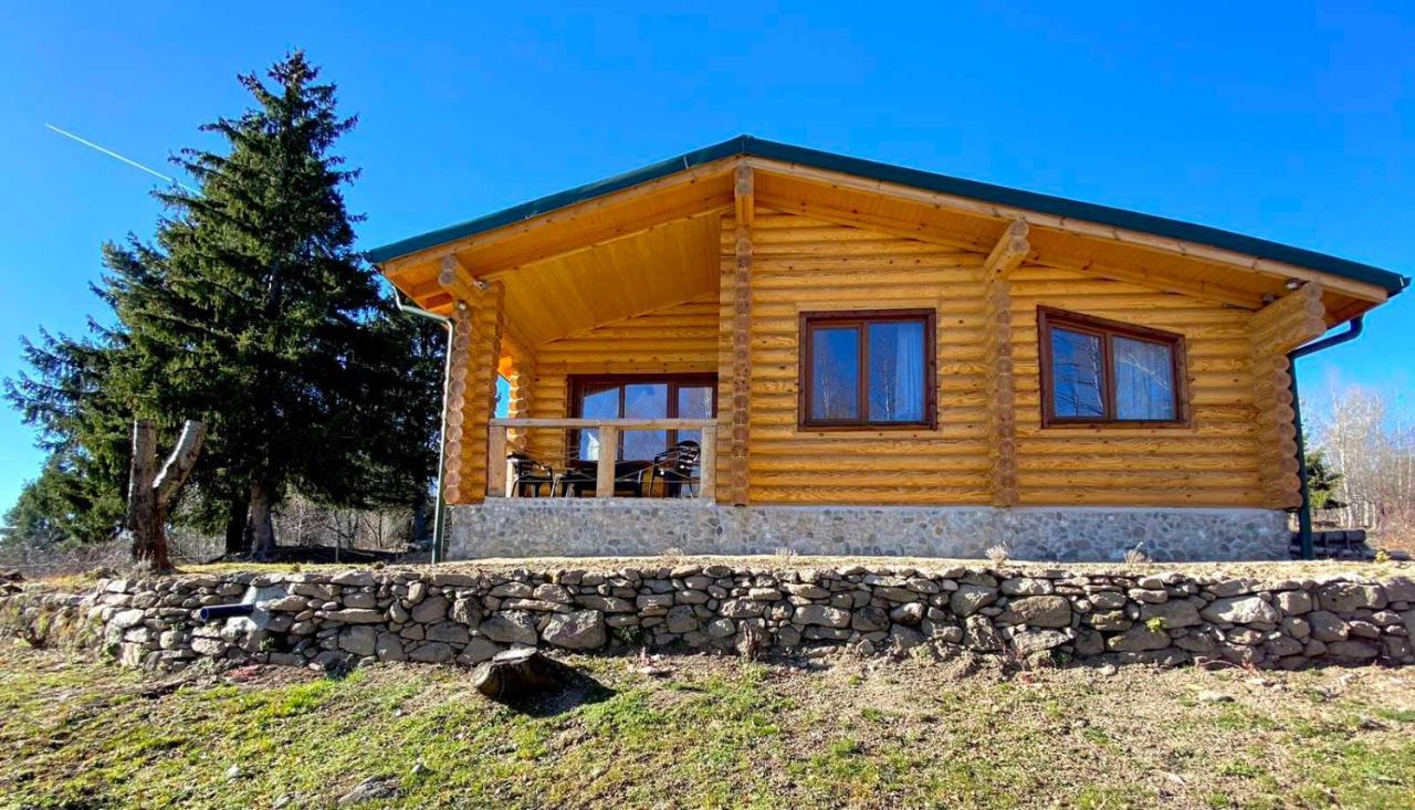 Вила Брезите Pamporovo Kültér fotó