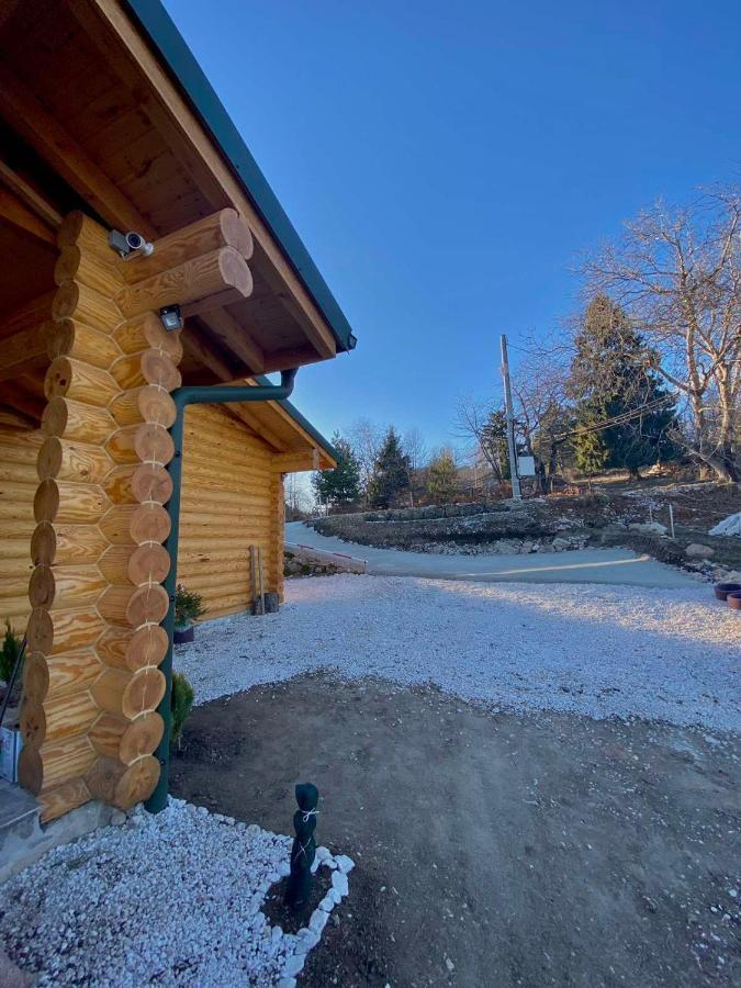 Вила Брезите Pamporovo Kültér fotó