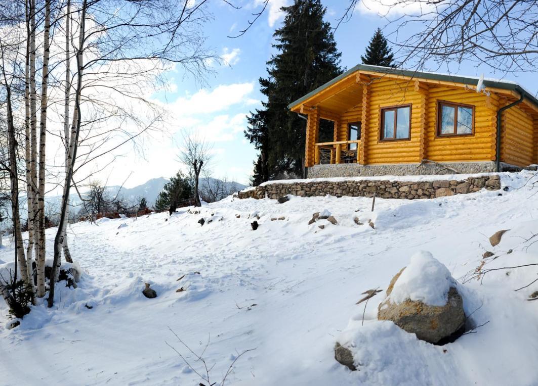 Вила Брезите Pamporovo Kültér fotó