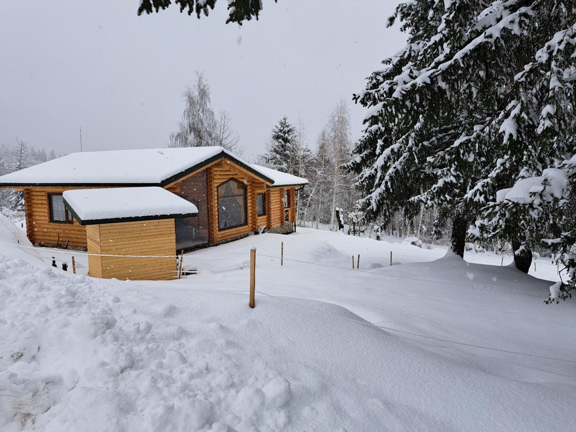 Вила Брезите Pamporovo Kültér fotó